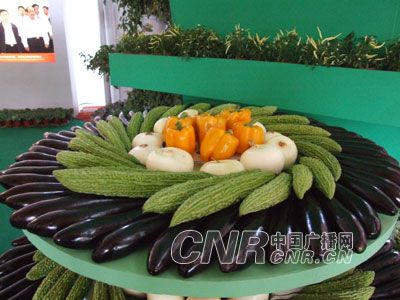 台湾蔬菜水果首次亮相寿光国际蔬菜科技博览会